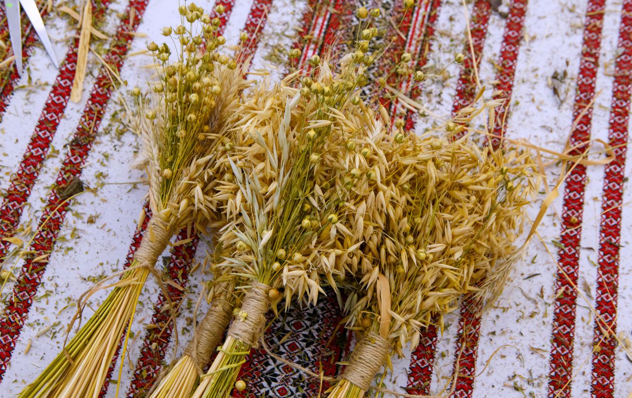 Зображення