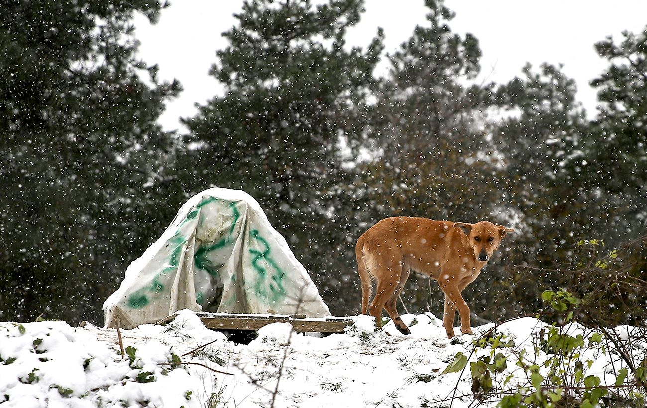 Зображення