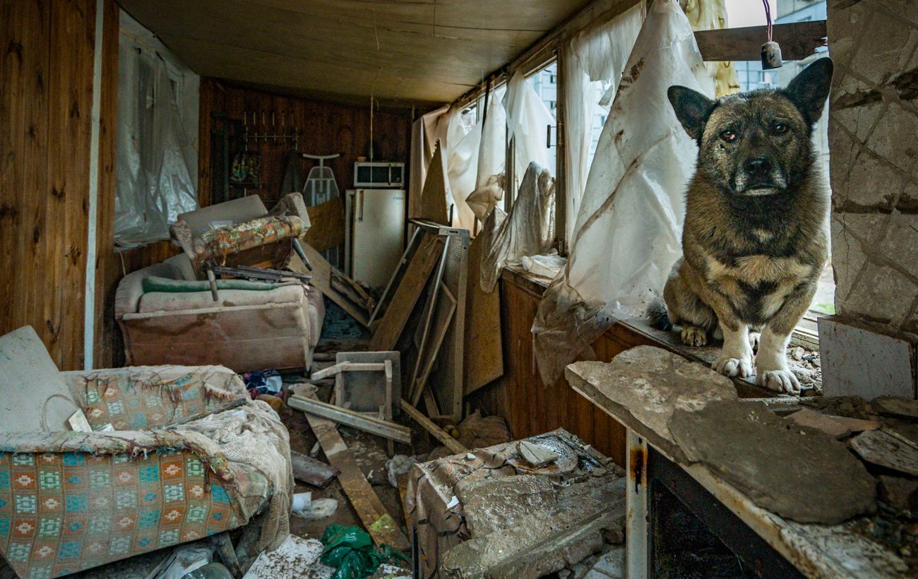 Зображення