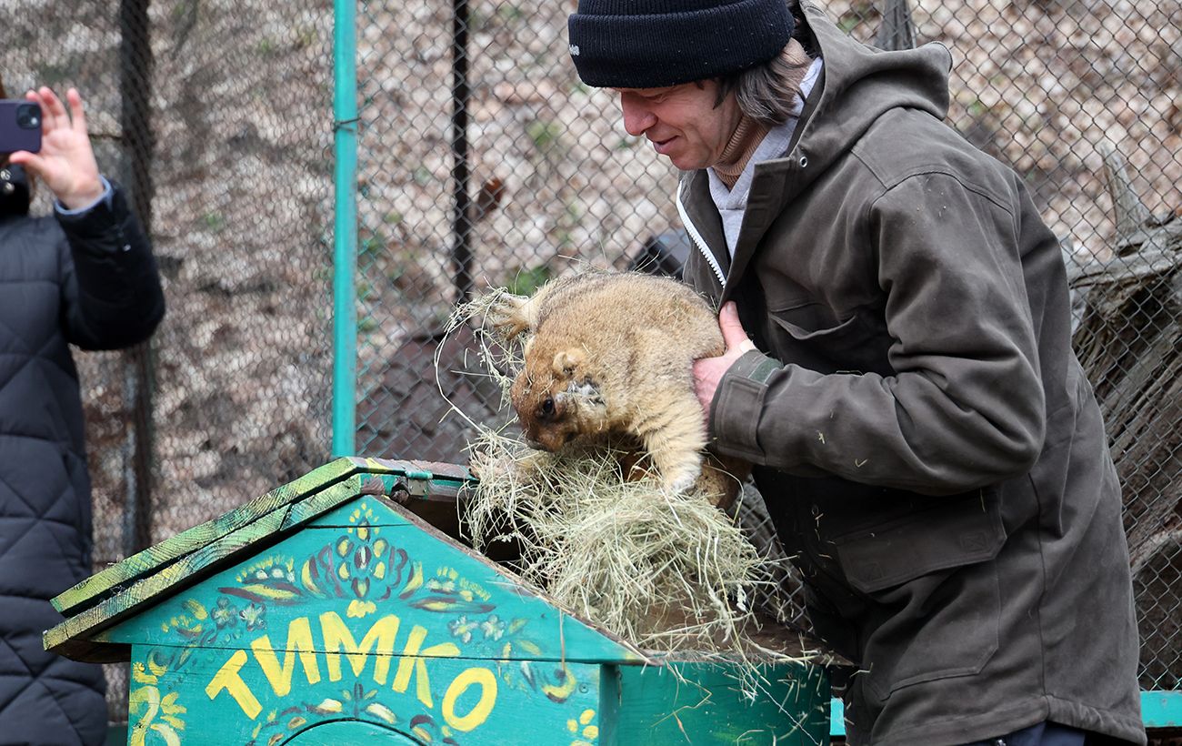 Зображення