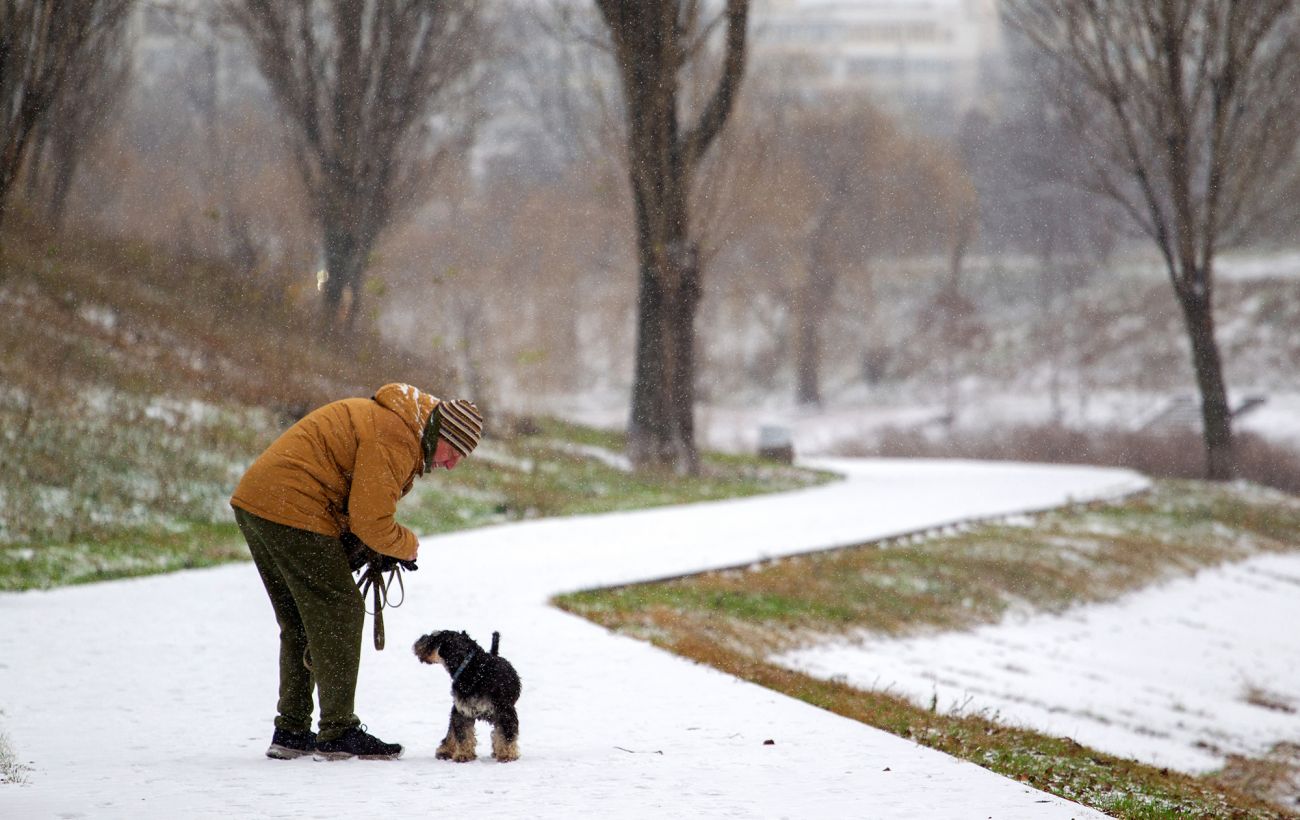 Зображення