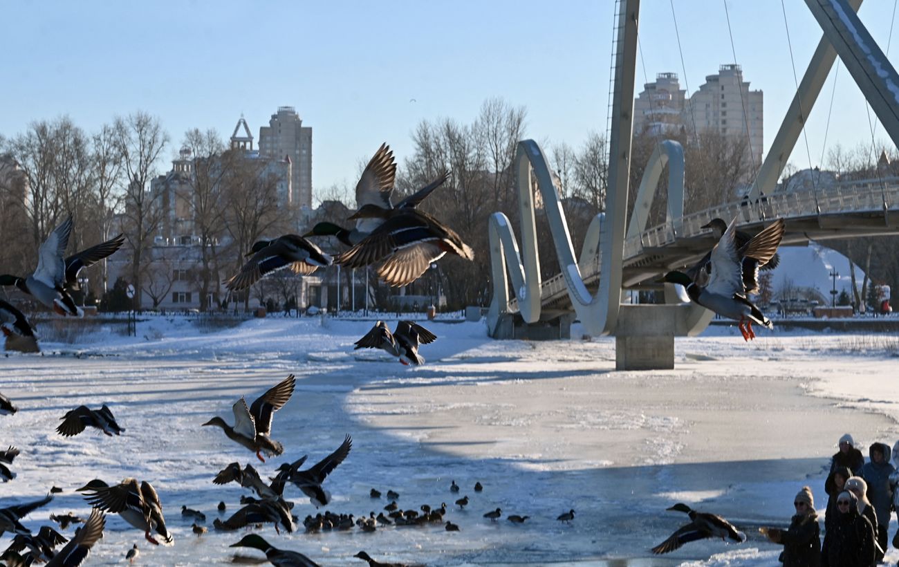 Зображення