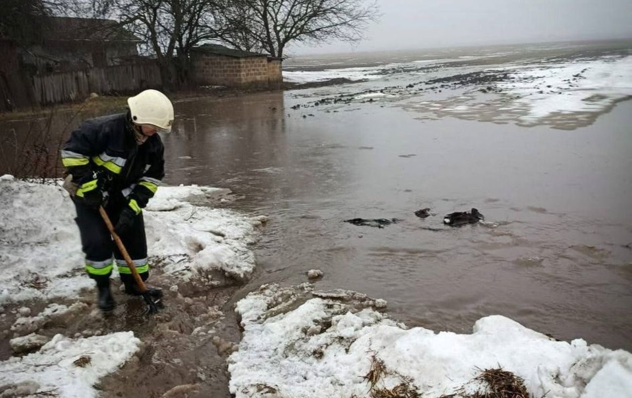 Зображення