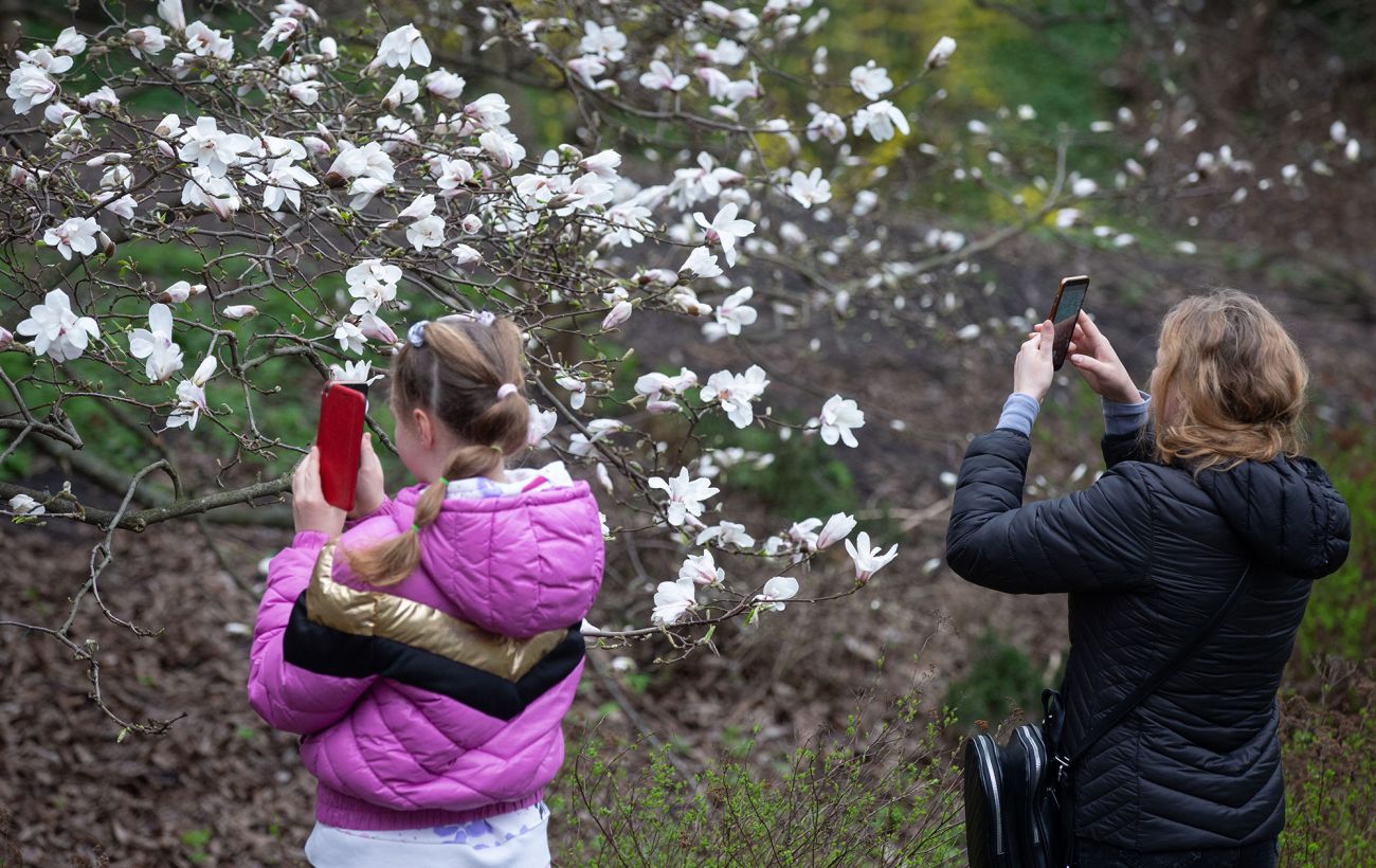 Зображення