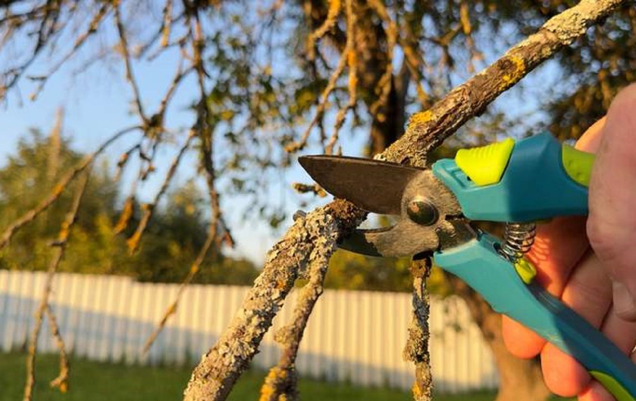 Зображення