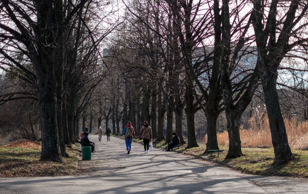 Зображення