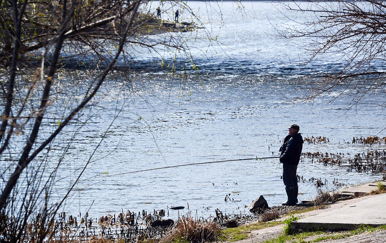 Зображення