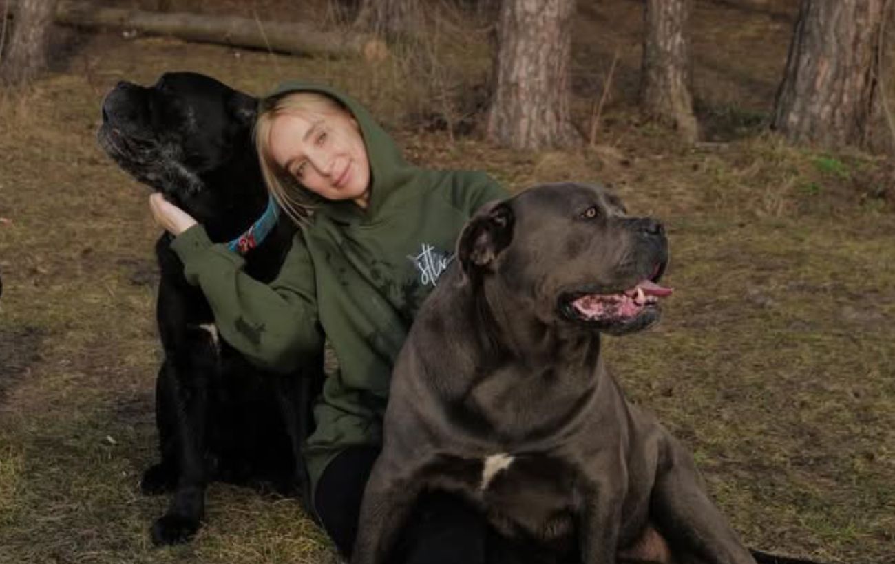 Зображення