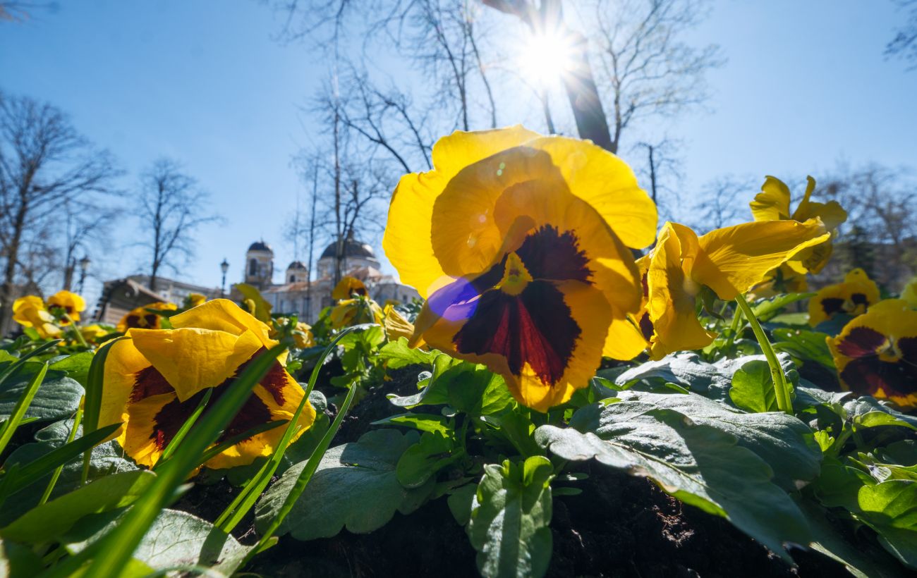 Зображення