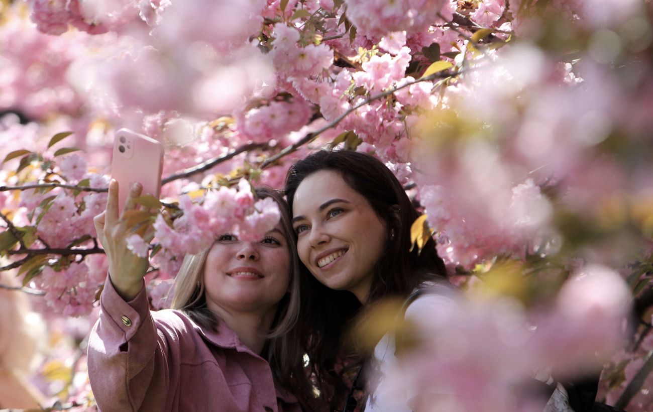 Зображення