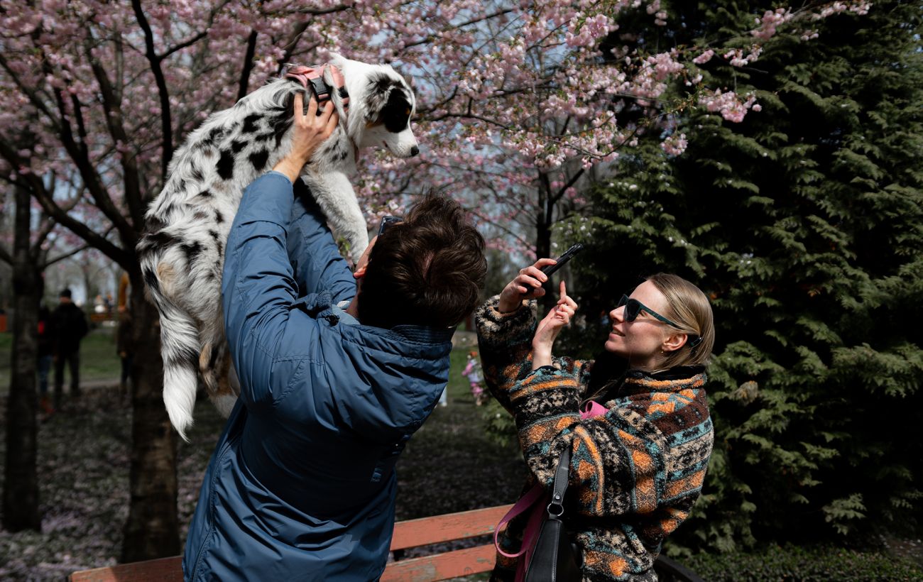 Зображення